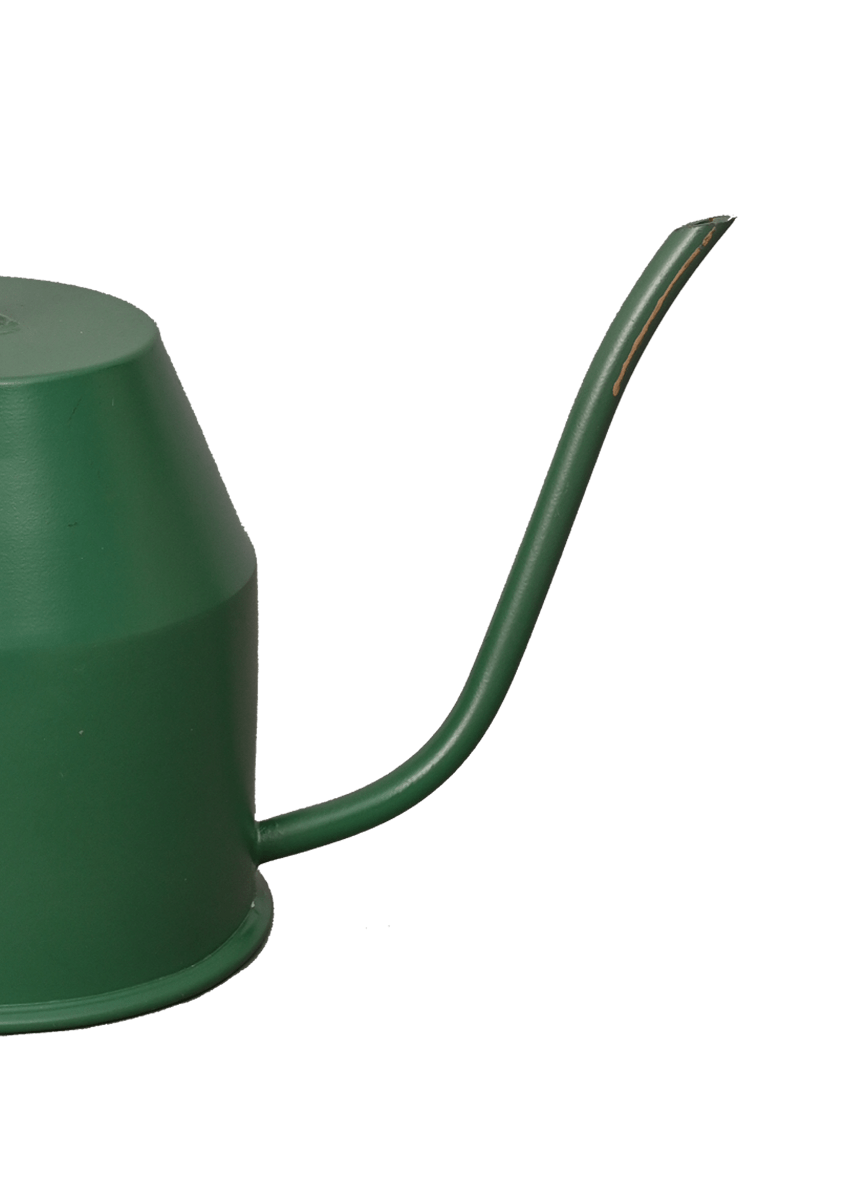 Tropical Forest Watering Can - Green &amp; Gold