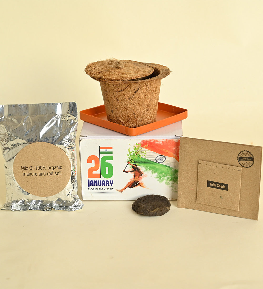 Tulsi Plant DIY Kit Gifting Hamper