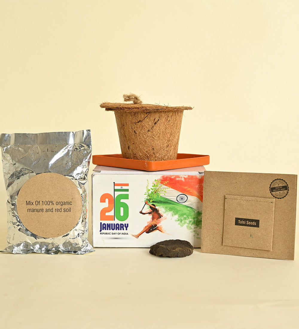 Tulsi Plant DIY Kit Gifting Hamper