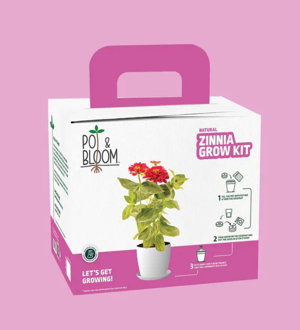 Zinnia Grow Kit